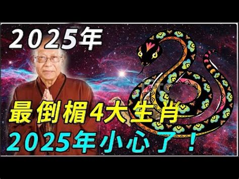 2025是什麼年天干地支|天干地支換算器